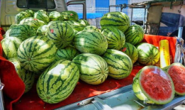 南宁吃瓜爆料事件真相,揭秘背后真相与网络舆论的反思